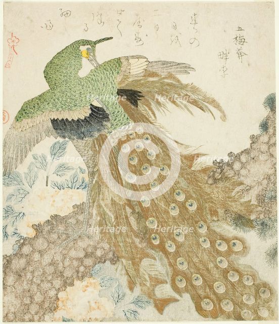 Peacock, Pine Tree, and Peonies, from the series "A Set of Three Petals..., Japan, 1810s. Creator: Kubo Shunman.