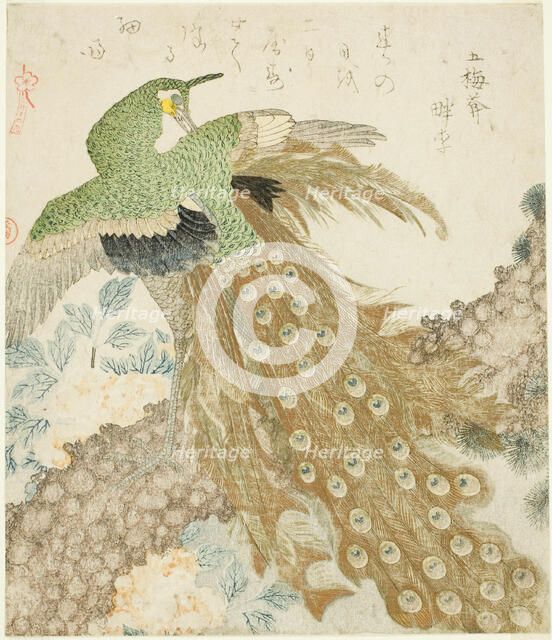 Peacock, Pine Tree, and Peonies, from the series "A Set of Three Petals..., Japan, 1810s. Creator: Kubo Shunman.