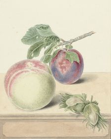 Peach, a plum with leaves and a few nuts, 1818-1853. Creator: Elisabeth Geertruida van de Kasteele