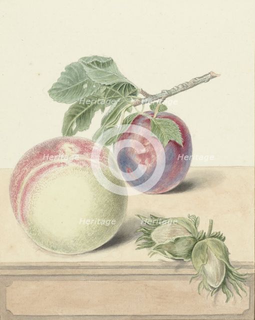 Peach, a plum with leaves and a few nuts, 1818-1853. Creator: Elisabeth Geertruida van de Kasteele.