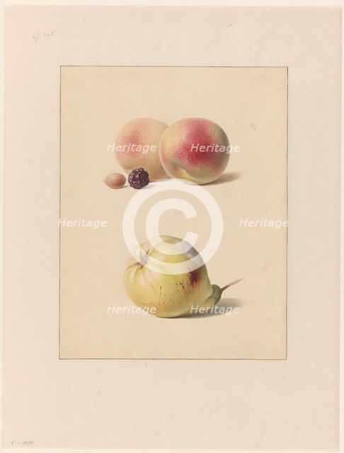Peach, blackberry and hazelnut and a pear, 1835. Creator: Hendrik Reekers.
