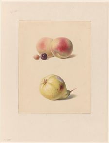 Peach, blackberry and hazelnut and a pear, 1835. Creator: Hendrik Reekers