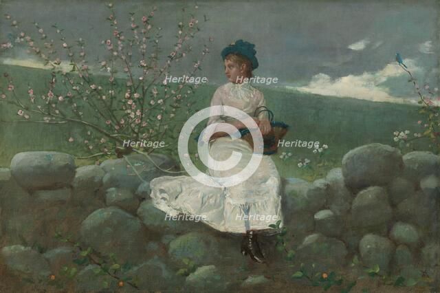Peach Blossoms, 1878. Creator: Winslow Homer.