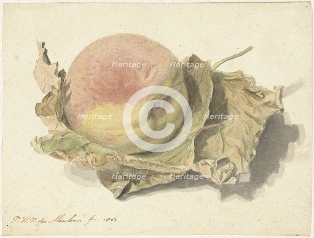 Peach on two leaves, 1803. Creator: Pieter van der Meulen.