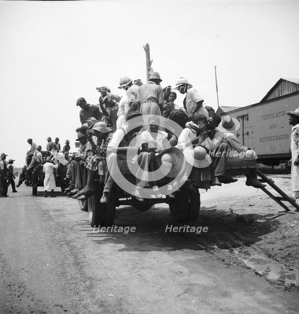 Peach pickers being driven to the orchards, Muscella, Georgia, 1936. Creator: Dorothea Lange.