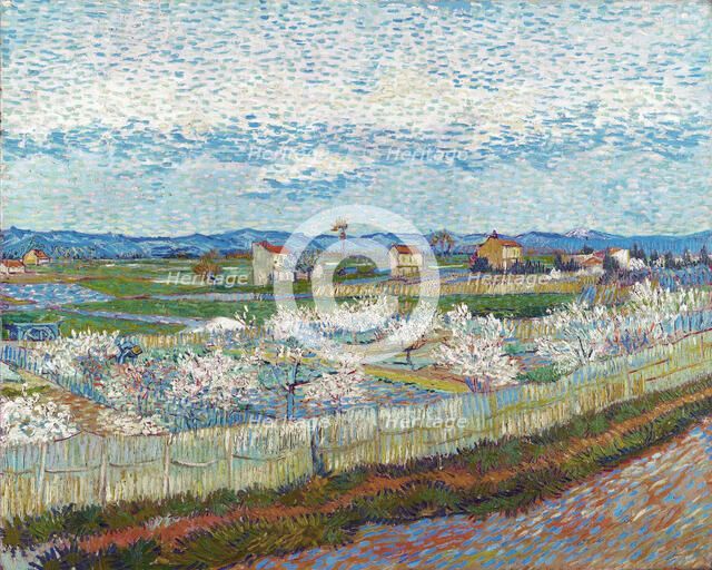 Peach Trees in Blossom, 1889. Creator: Gogh, Vincent, van (1853-1890).
