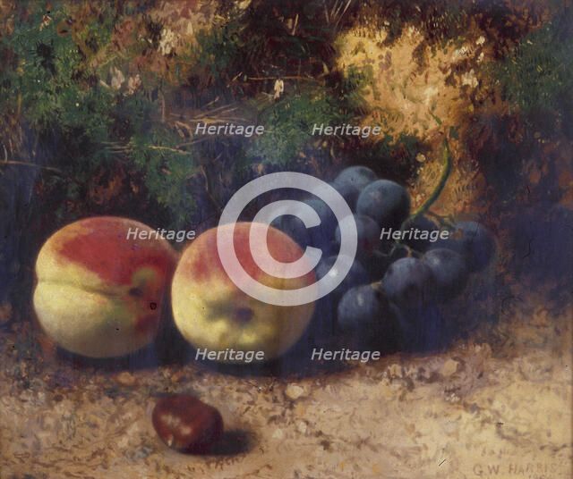 'Peaches and Grapes', 1864. Artist: George Walter Harris