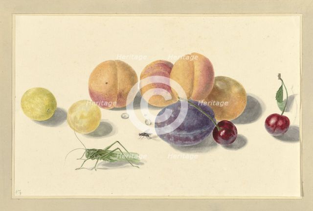 Peaches, plums, cherries and two bugs, 1818-1853. Creator: Elisabeth Geertruida van de Kasteele.