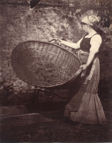[Peasant Woman with Winnowing Basket], late 1870s. Creator: Unknown