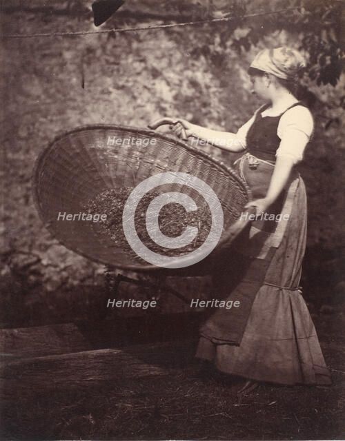 [Peasant Woman with Winnowing Basket], late 1870s. Creator: Unknown.