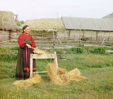 Peasant woman breaking flax;Perm Province, 1910. Creator: Sergey Mikhaylovich Prokudin-Gorsky