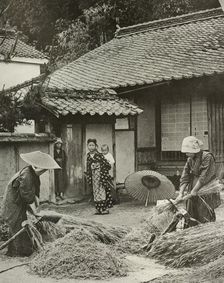 Peasant Women Heading Barley 1910. Creator: Herbert Ponting
