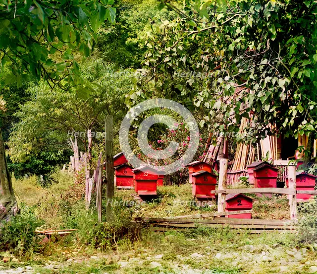 Peasant apiary near Gagra, between 1905 and 1915. Creator: Sergey Mikhaylovich Prokudin-Gorsky.