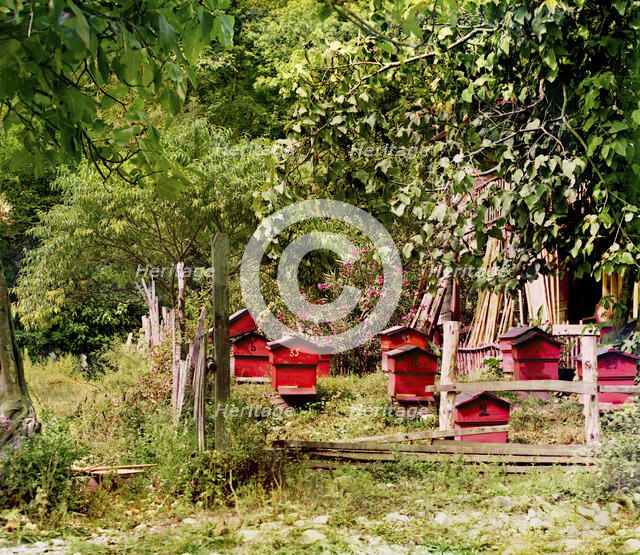Peasant apiary near Gagra, between 1905 and 1915. Creator: Sergey Mikhaylovich Prokudin-Gorsky.