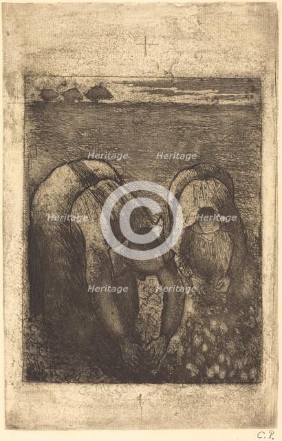 Peasants in a Field of Beans (Paysannes dans un champ de haricots), 1891. Creator: Camille Pissarro.