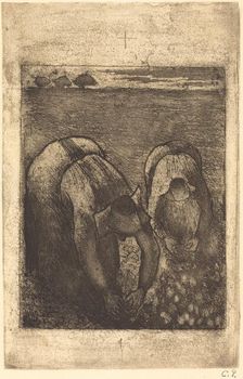 Peasants in a Field of Beans (Paysannes dans un champ de haricots), 1891. Creator: Camille Pissarro