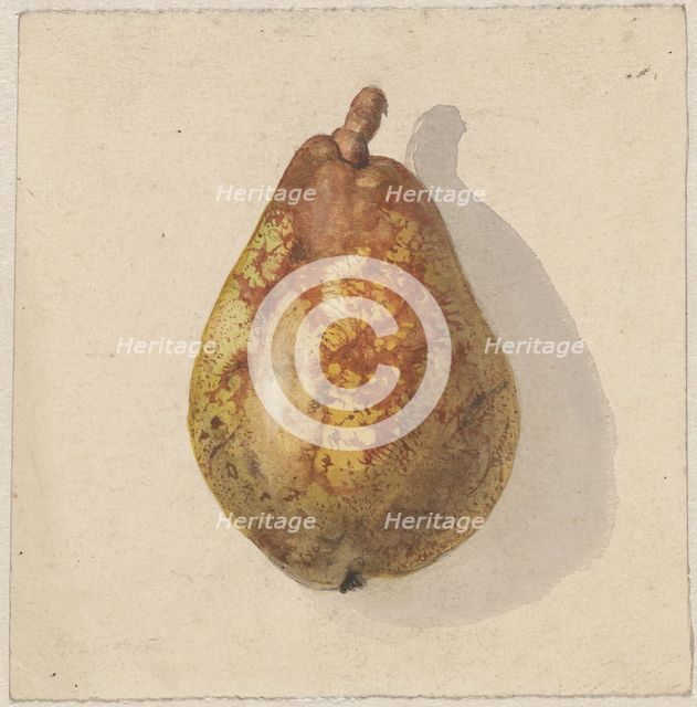 Pear, 1836-1895. Creator: Gerardina Jacoba van de Sande Bakhuyzen.