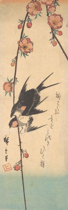 Pear Blossoms and Swallows, ca. 1840., ca. 1840. Creator: Ando Hiroshige