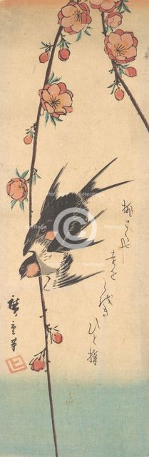 Pear Blossoms and Swallows, ca. 1840., ca. 1840. Creator: Ando Hiroshige.
