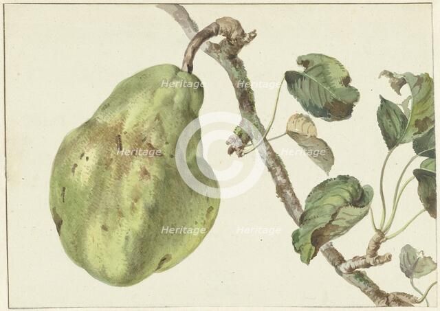 Pear on a branch, 1781. Creator: Pieter Gevers.