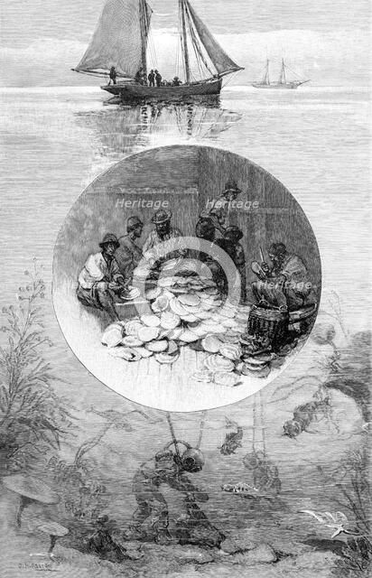 Pearl Fishery, Torres Strait, Australia, 1886. Artist: Unknown