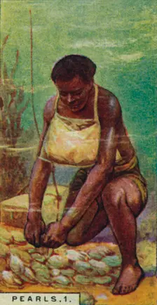 Pearls 1. Native Diver at Work, Ceylon 1928