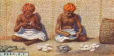 Pearls, 2. - Openng the Oysters, Ceylon 1928