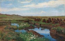 Peat Bog at Jaeren, 1901. Creator: Kitty Lange Kielland