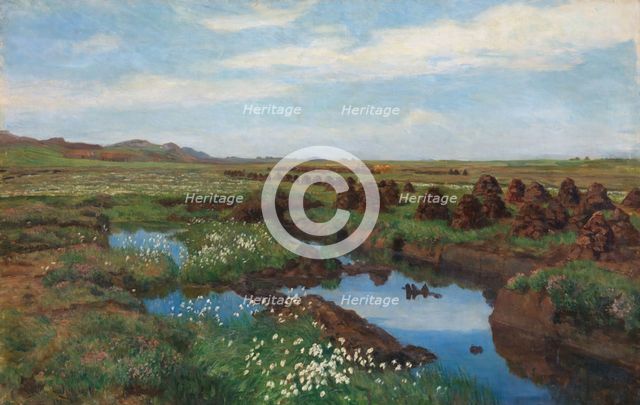 Peat Bog at Jaeren, 1901. Creator: Kitty Lange Kielland.