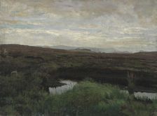 Peat Bog on Jaeren, 1882. Creator: Kitty Lange Kielland