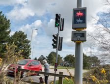 Pedestrian with dog using pelican crossing on road at Dibden Purlieu, Hampshire 2016. Creator: Unknown