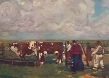 Pedigree Oxen on a a Lemco Estancia 1916. Artist: A S Forrest
