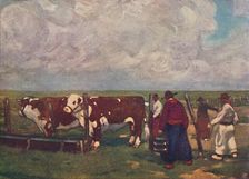 Pedigree Oxen on a a Lemco Estancia 1916. Artist: A S Forrest