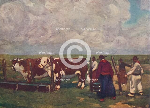 'Pedigree Oxen on a a Lemco Estancia', 1916. Artist: A S Forrest.