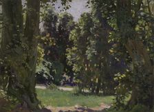 Peel Forest, c1920s. Creator: Archibald Frank Nicoll