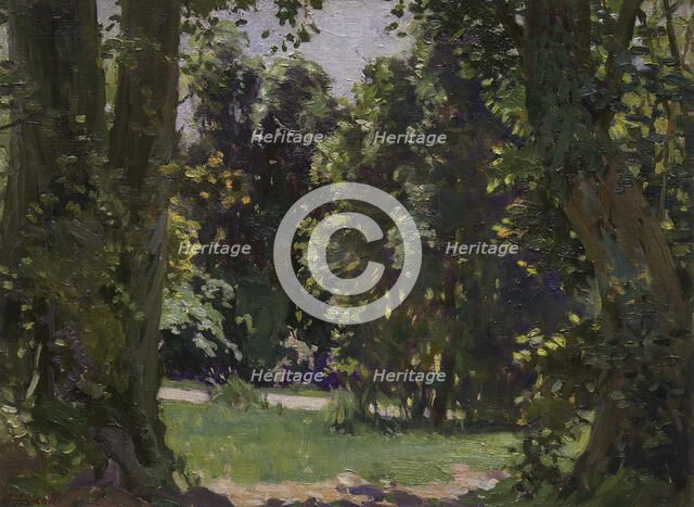 Peel Forest, c1920s. Creator: Archibald Frank Nicoll.