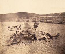 [Peel Ross with Hunting Trophies], ca. 1856-1859. Creator: Horatio Ross