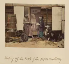 Peeling off the bark..., about 1873-1883. Creator: Shinichi Suzuki I