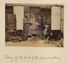 Peeling off the bark..., about 1873-1883. Creator: Shinichi Suzuki I