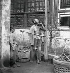 Peking, Pechili province, China: a travelling fruit-seller, 1869. Creator: John Thomson