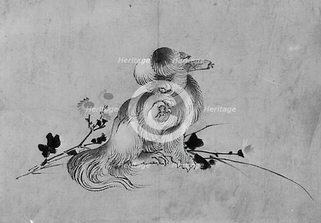 Pekingese, 19th century. Creator: Hokusai School.