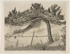 Pelham Bay, ca. 1875. Creator: Henry Farrer