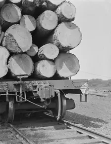 Pelican Bay Lumber Company, near Klamath Falls, Klamath County, Oregon, 1939. Creator: Dorothea Lange