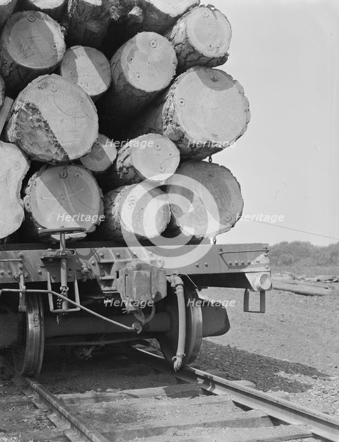 Pelican Bay Lumber Company, near Klamath Falls, Klamath County, Oregon, 1939. Creator: Dorothea Lange.