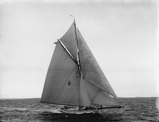 Penguin, 1899 July 29. Creator: John S Johnston