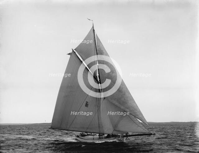 Penguin, 1899 July 29. Creator: John S Johnston.