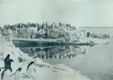 Penguins on Ice-Foot c1911, (1913). Artist: G Murray Levick