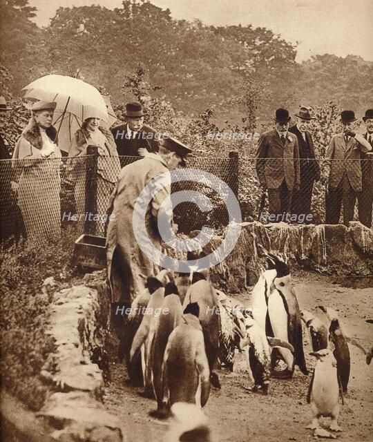 Penguins on parade for the King, 1934 (1935). Artist: Unknown.