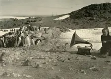 Penguins listening to the Gramophone during the summer 1908, (1909)