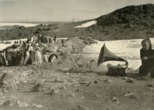 Penguins listening to the Gramophone during the summer 1908, (1909)
